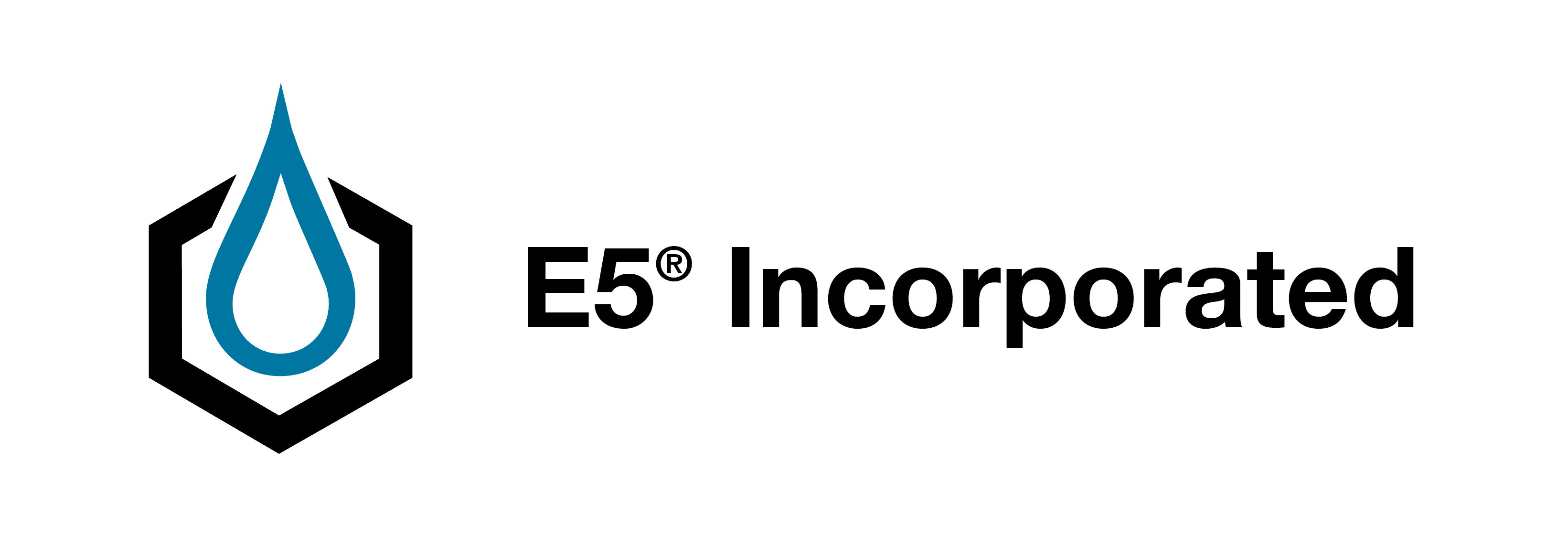 E5 Incorporated